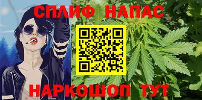 тгк Будённовск