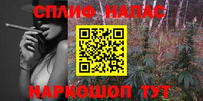 тгк Будённовск