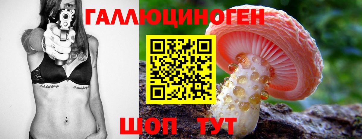 Шахты  Псилоцибиновые грибы прущие грибы  наркота  Галлюциногенные грибы Psilocybe  Вход с VPN 